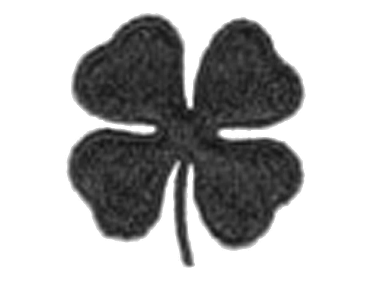 four-leaf-clover-tiara-connection-quality-discount-crowns-and-sashes